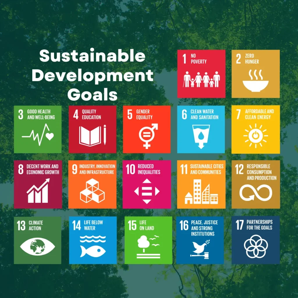 UN Sustainable Development Goals